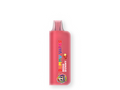 DUMMY 6IX9INE 8,000