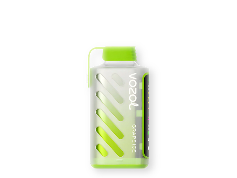 VOZOL 10,000